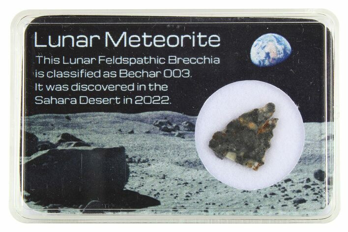 Polished Lunar Meteorite Slice ( g) - Bechar #288446